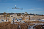 assumption cemetery