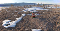 assumption cemetery