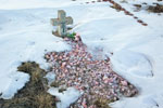 assumption cemetery grave